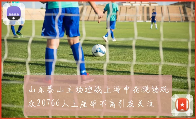 山东泰山主场迎战上海申花现场观众20766人上座率不高引发关注